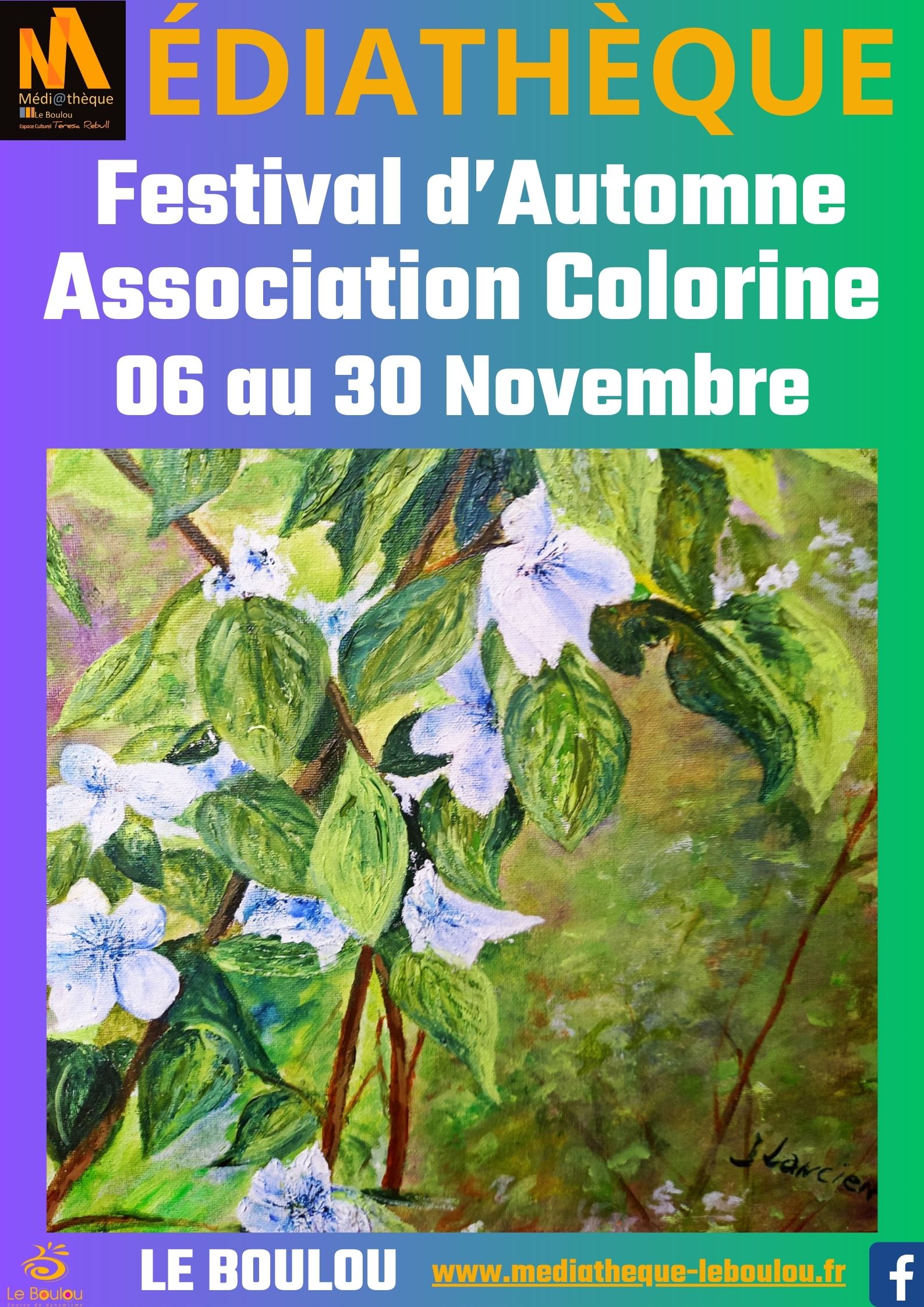 AFF Colorine 112024